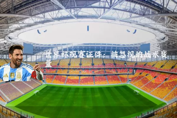 世界杯观赛证件：被忽视的战术变量